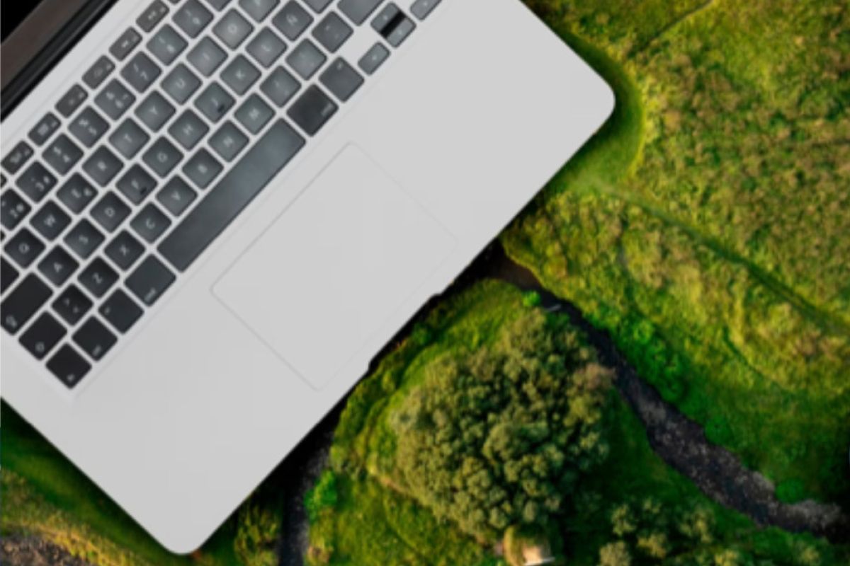 1024X1024 171 d788b204