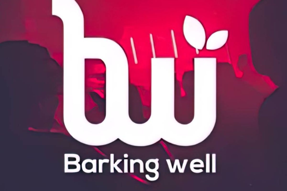 ec2d499059655c1a1dc03a6bcb2587a5 XL d76e1b4e