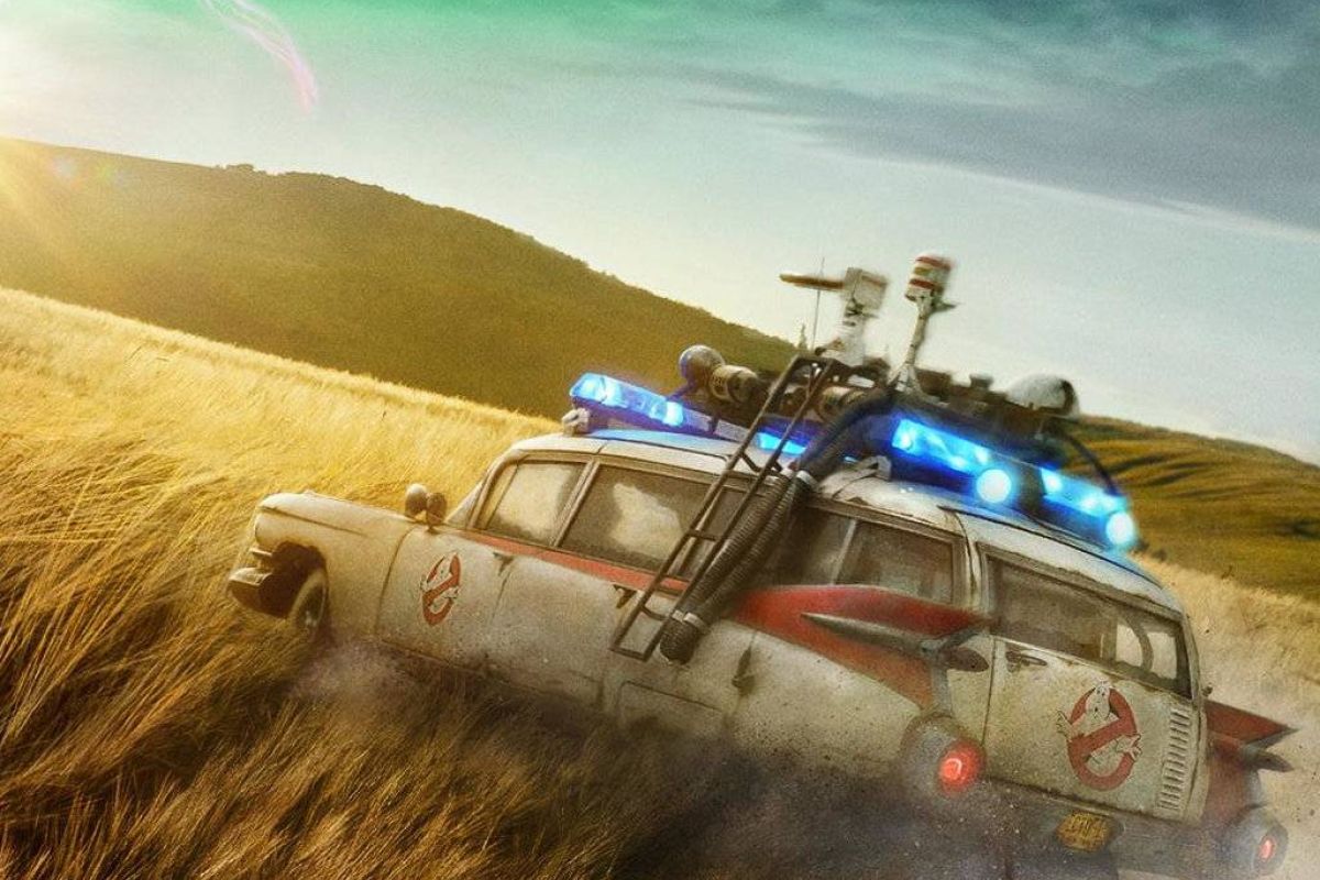 2f21ea62c0388083f00b2b6776a49a02 XL d89ccd12