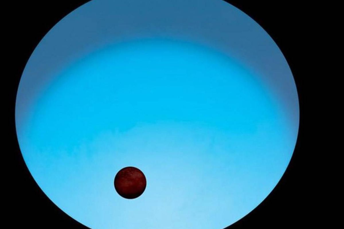 74ca1240469f331996d80bca6f45a3a7 XL d8599bf6