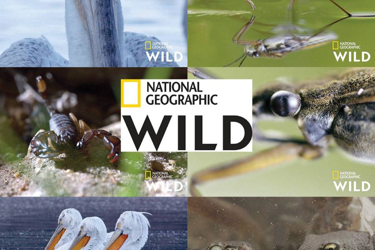 db1bbe19055a643a956f4b4c52e056d8 XL d8c206e2