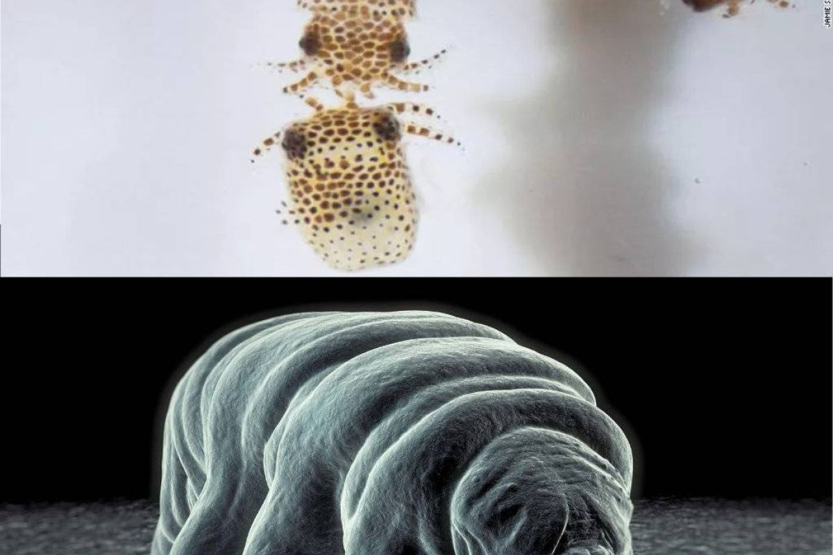 82032ffcc066f2ace011cb944f1a9128 XL d9feea5c