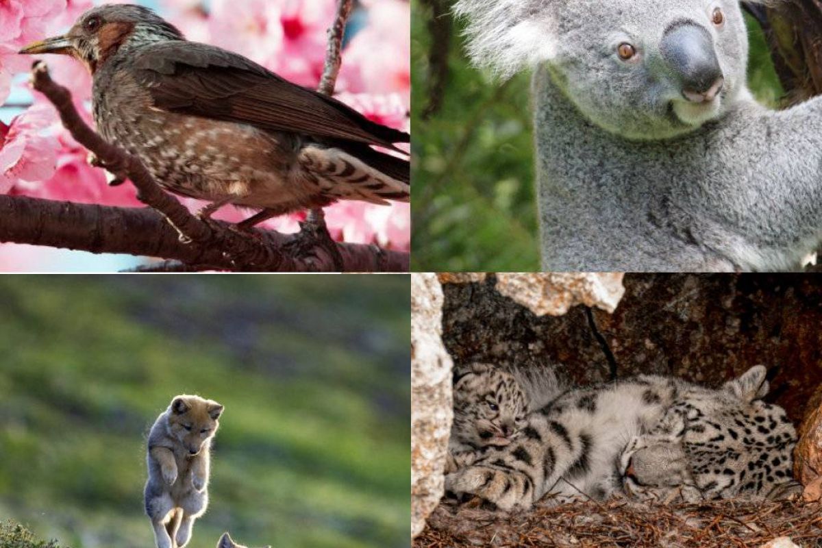 eb86ac0fa60e1c7443fe71c16392a68d XL d9b635b0