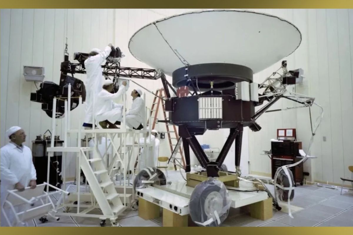 1024X1024 7 da5bb66e