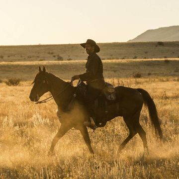 «Και οι 7 ήταν υπέροχοι»: Το remake του κλασικού γουέστερν έρχεται αποκλειστικά στη Nova!