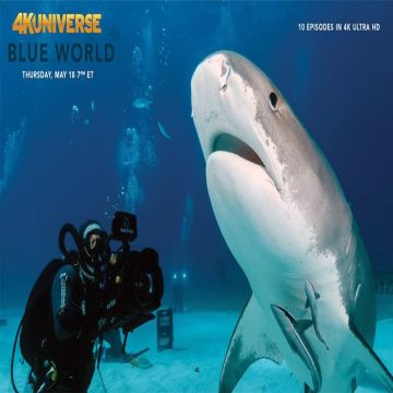 Το Blue World του Jonathan Bird σε 4Κ από το 4KUNIVERSE