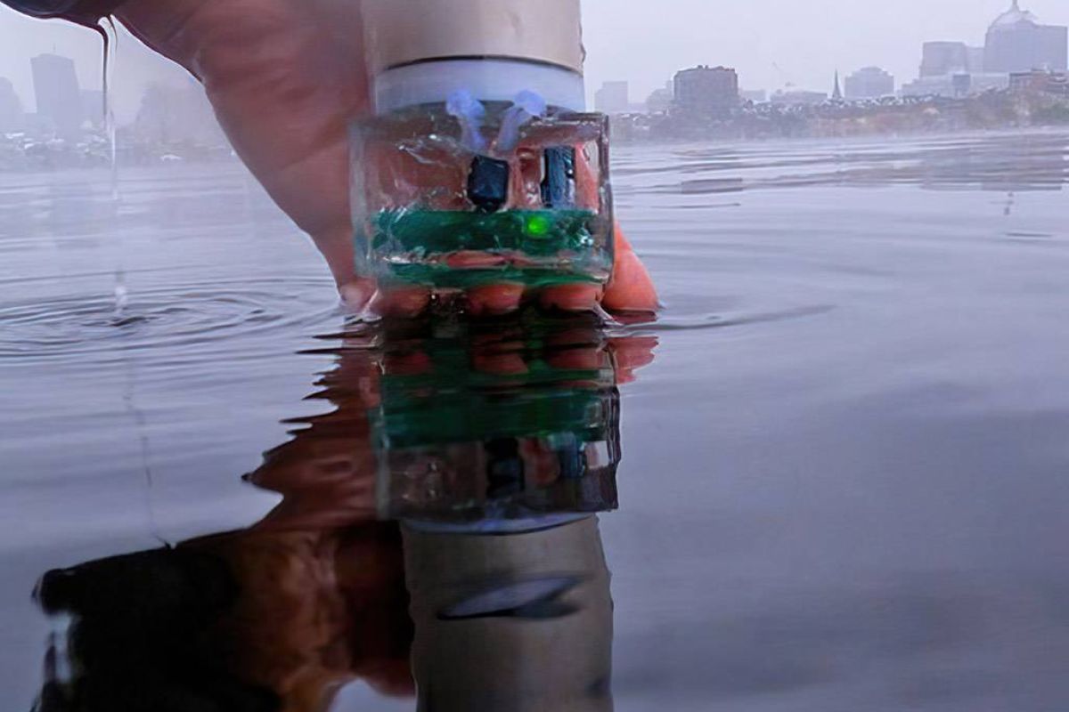 6a6d4e9ccc02badf02d442c17622e741 XL dbb02717