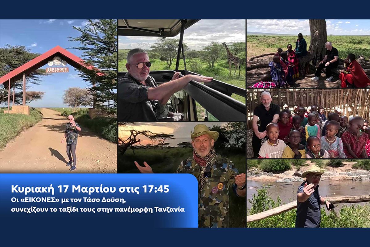 Untitled 1 96 db60bbd9