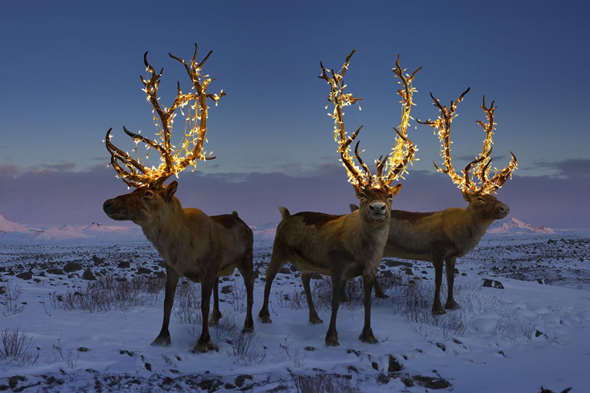 Untitled 1 81 dc740fa2