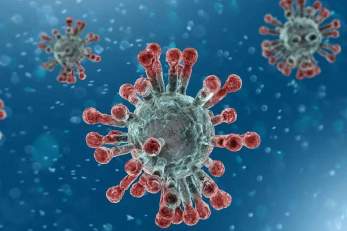 98781264d4539451e30158c578b07f63 XL dde4f7ae