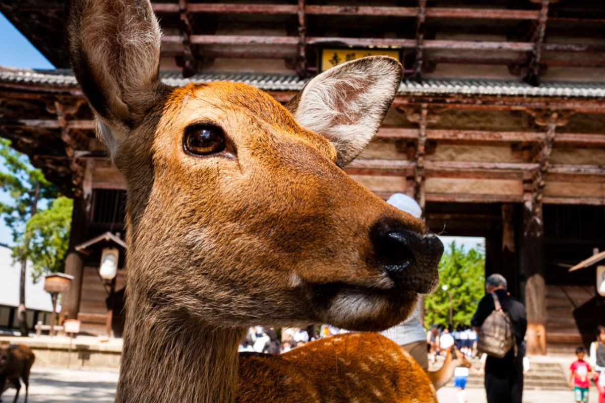 1280 square 50 de86ce6d