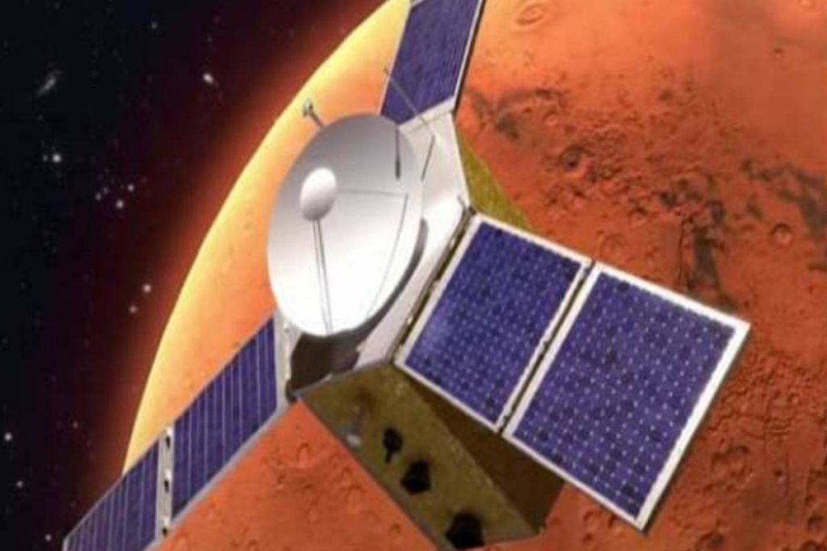 2616aec6593e831a3d5b7aca413a9cfc XL de11c891