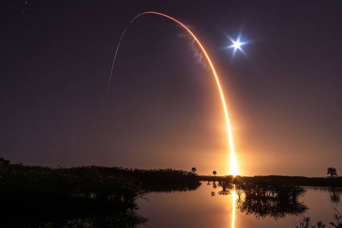 5d4158954a97e3ca133eaacec8a1f036 XL de338841