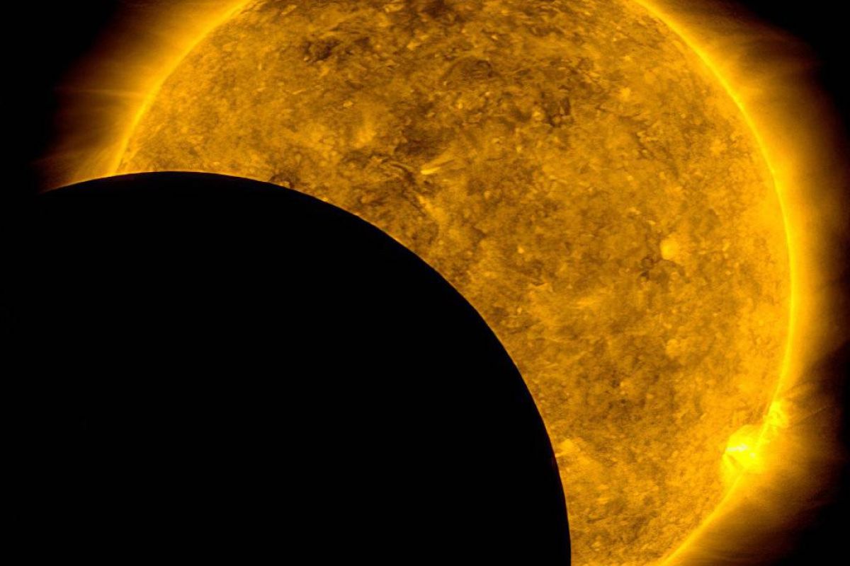 50230529ebcd21b260ae0fec99662057 XL dfb54c94