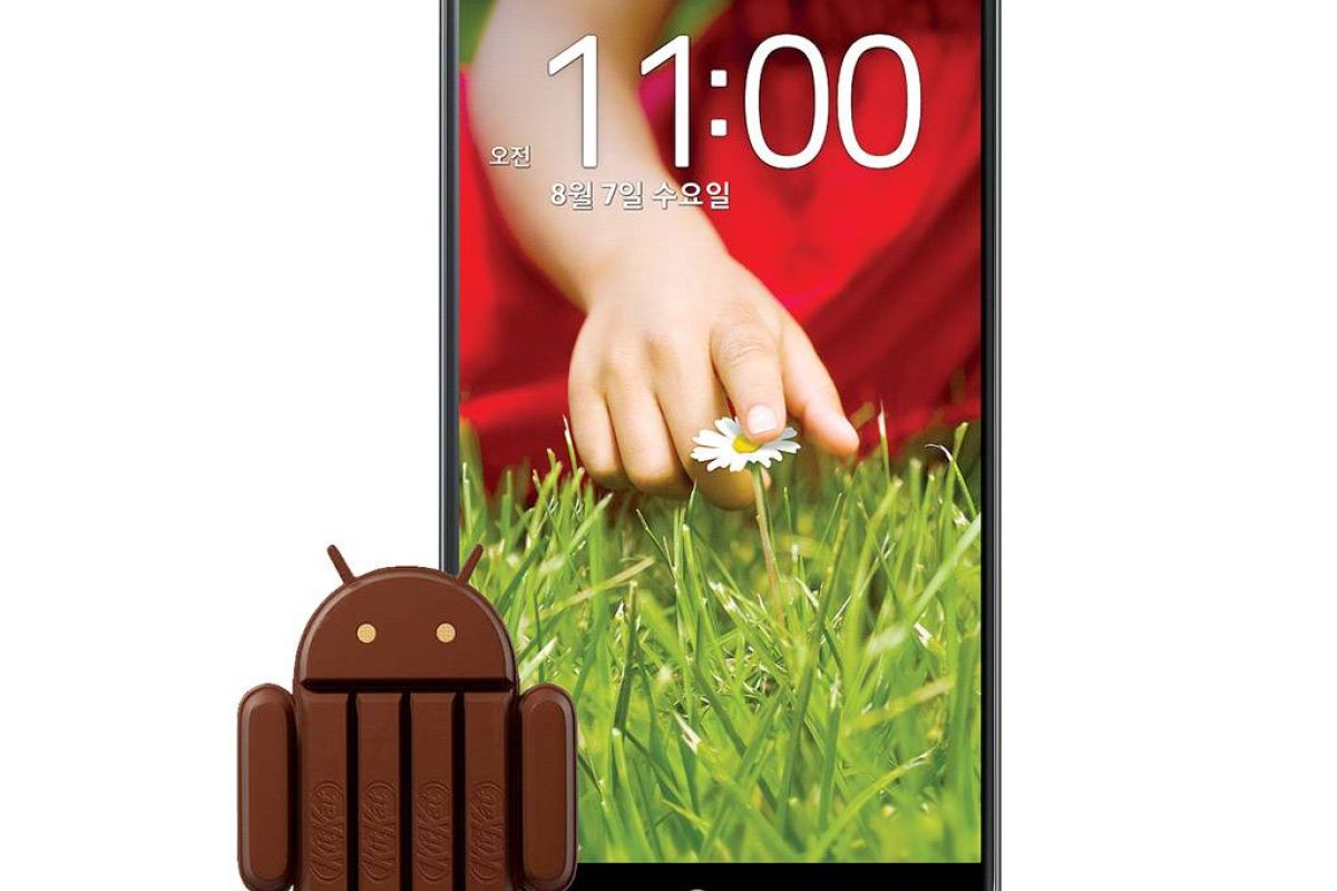 767feaf07eeabc10d9b7add7070743a1 XL df3e61af