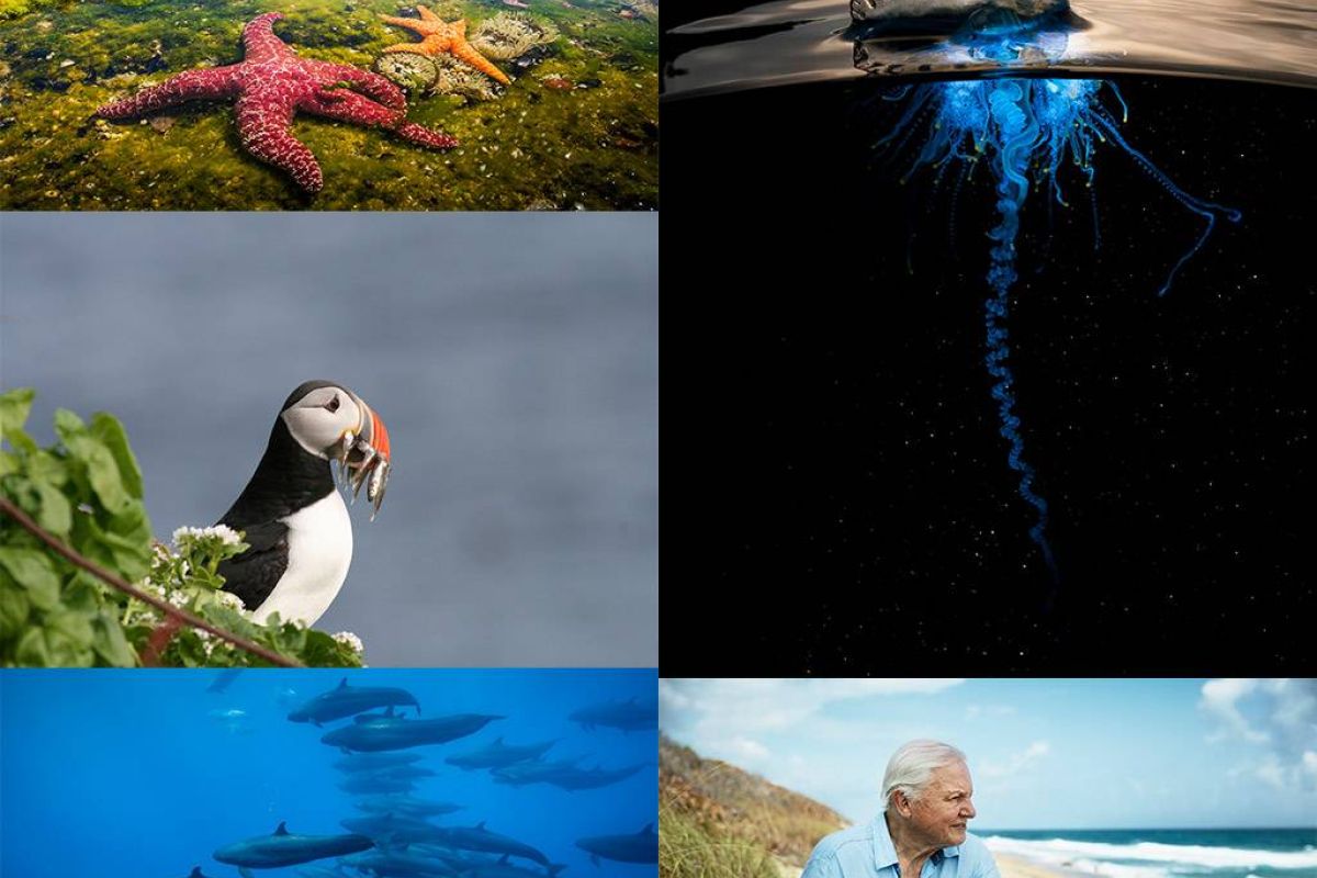 de01d384d4eeeb640b58248fe54db356 XL df35f1ff