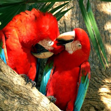 Σεπτέμβριος στο Viasat Nature, highlights