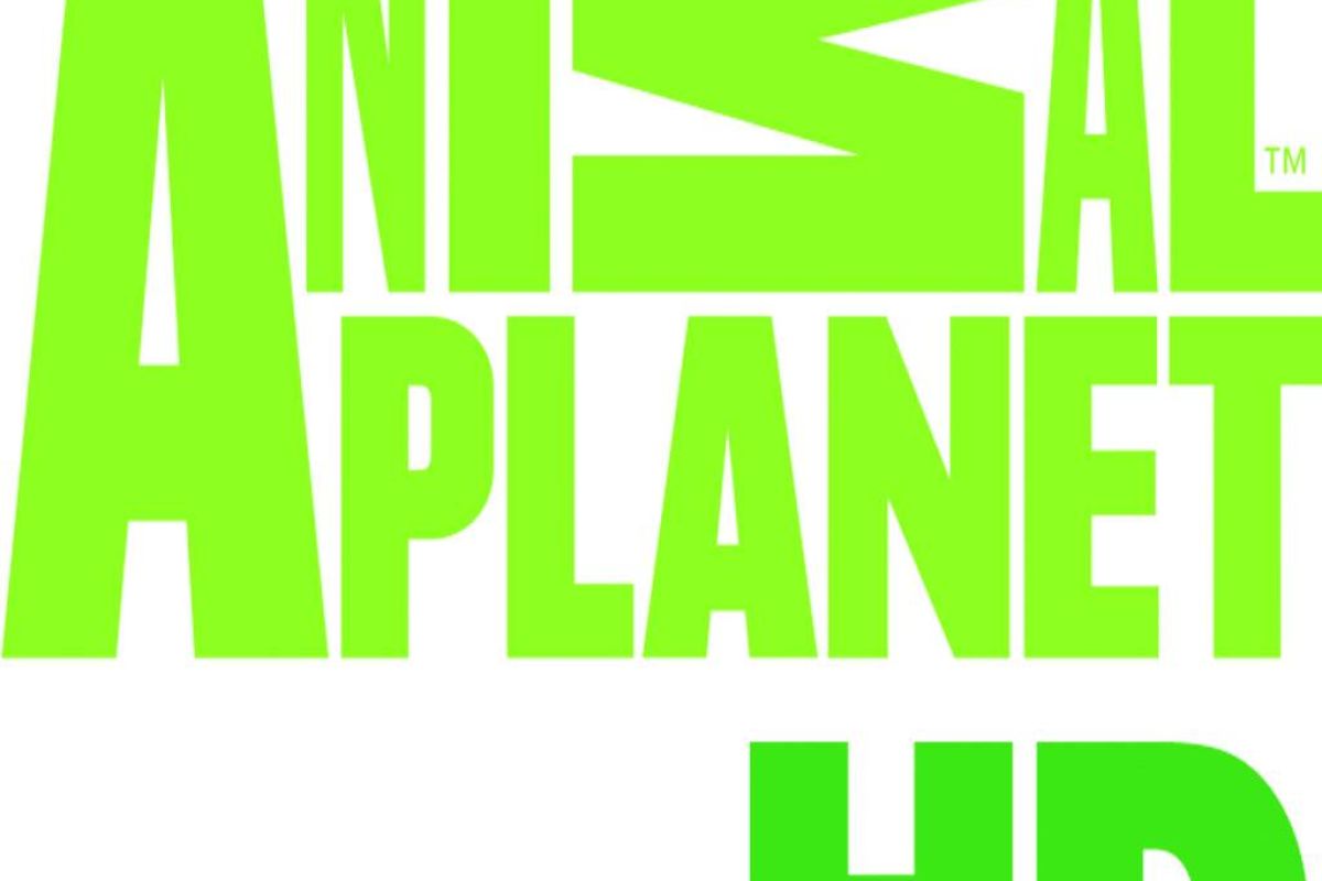 40692cc3eddcad9dc785151e863abf35 XL e21e04c5