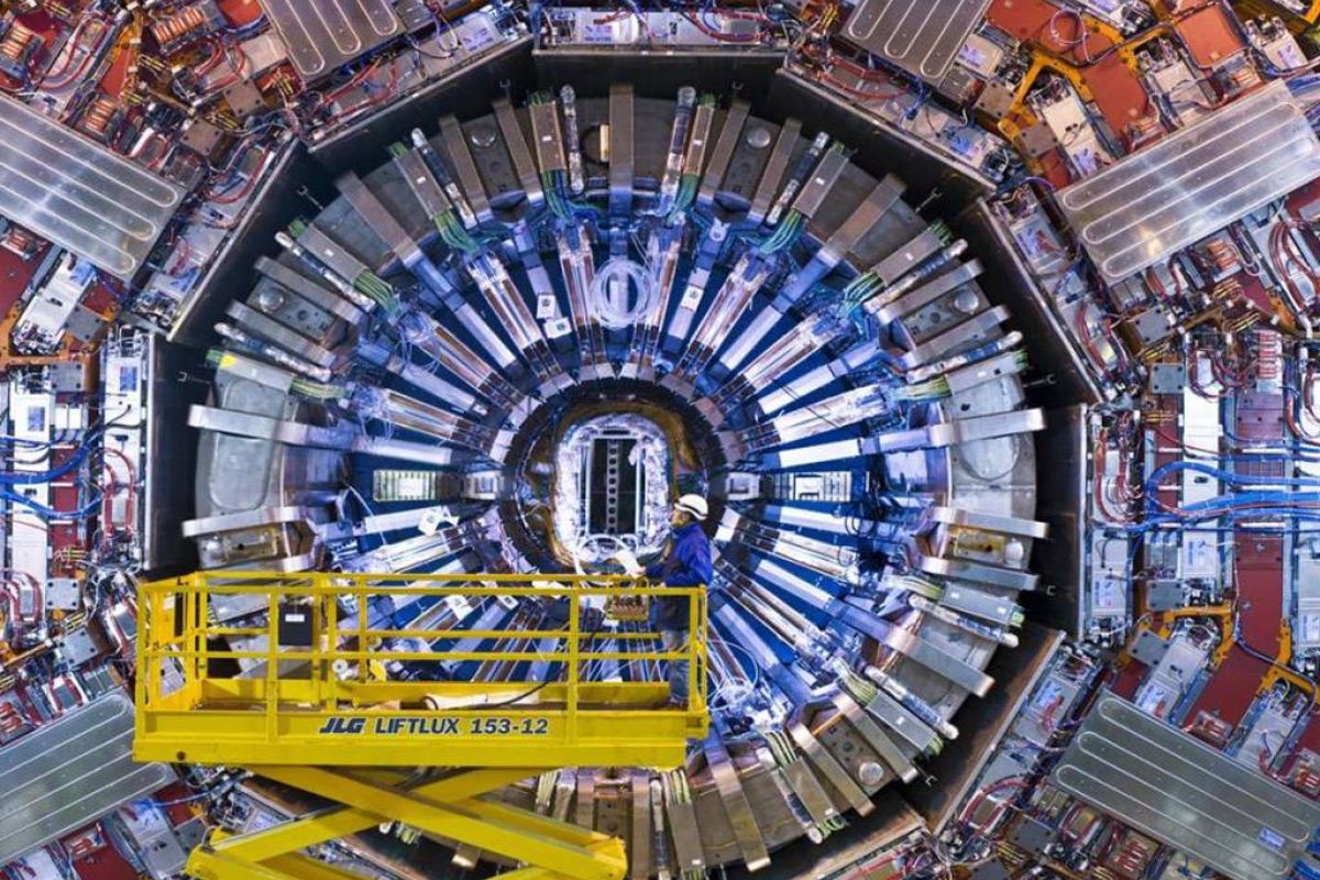 8c903d223f25489036e6a0429c761e3d XL e22c624c