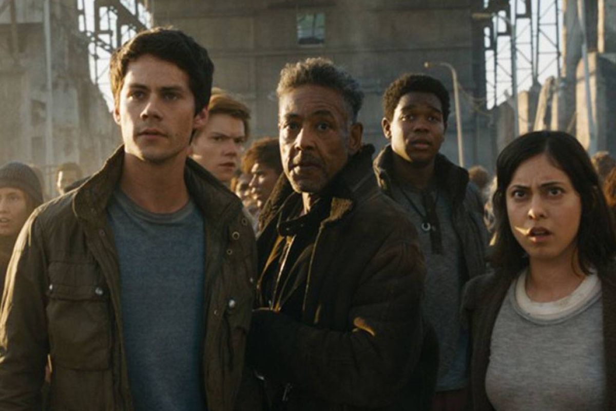 a067d45c44f229e97de9986a9e0fc815 XL e2864543