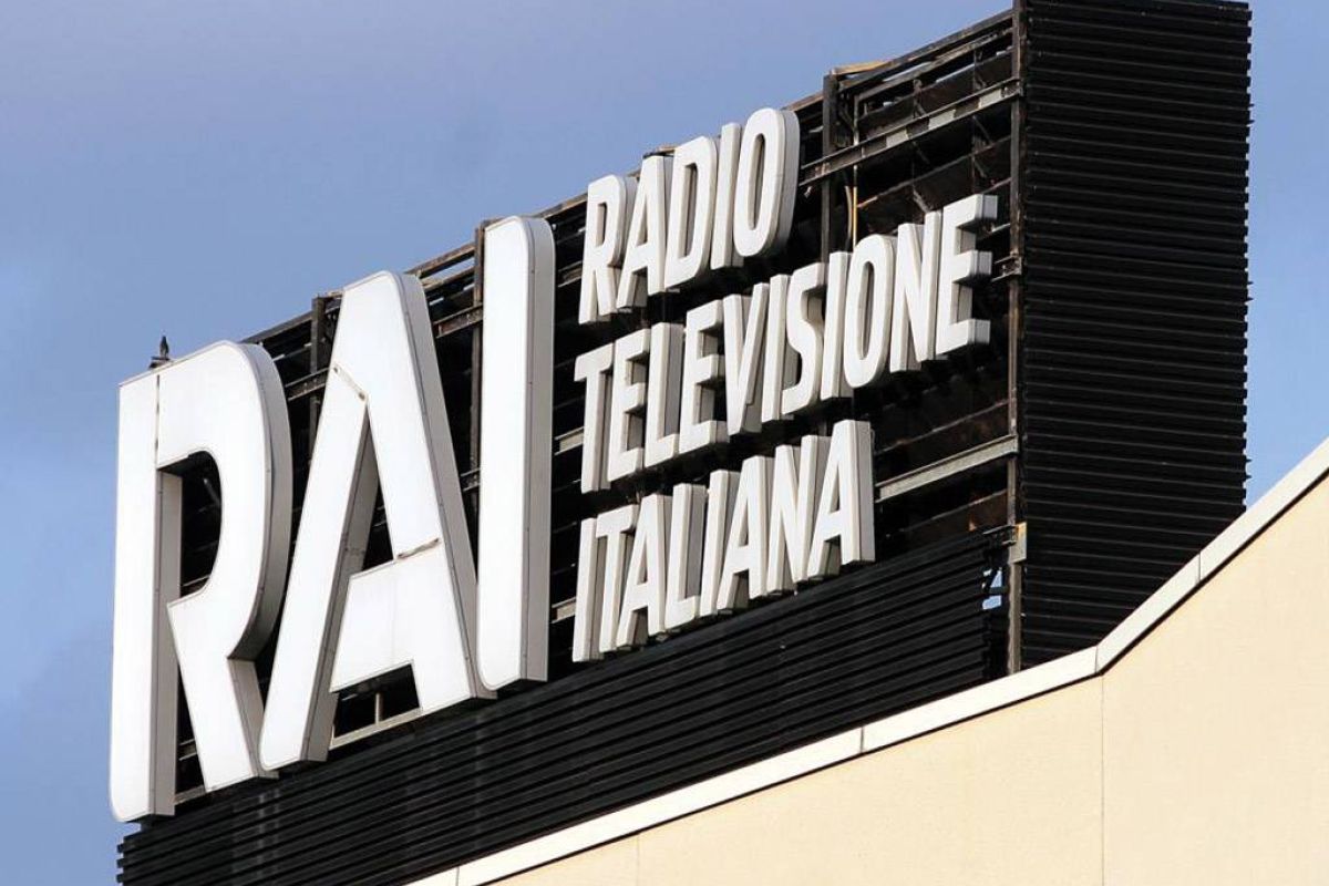 bcc5e458ce511d9ff784f96e63f98e81 XL e2203b21