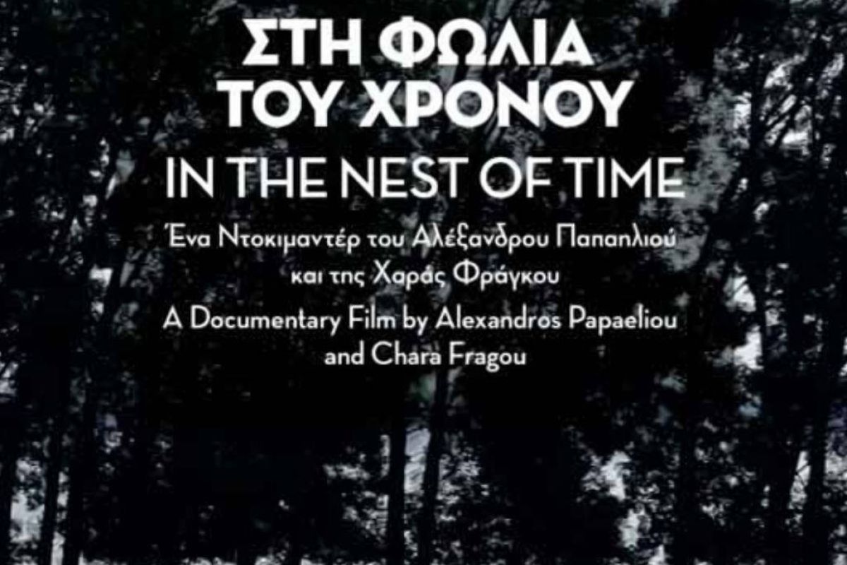 e88afee2d2152a1847b32b83f1b884ab XL e276bd48