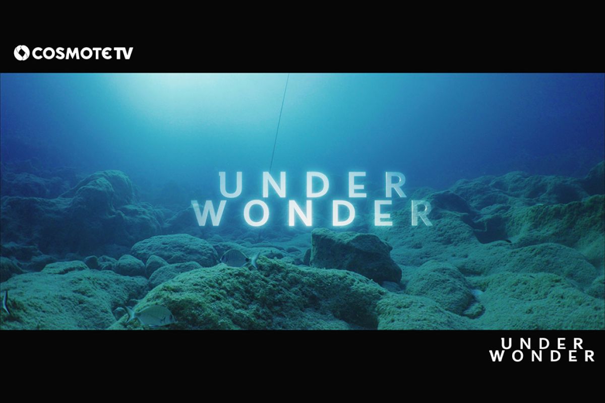 underwonder2 e25e1a6c