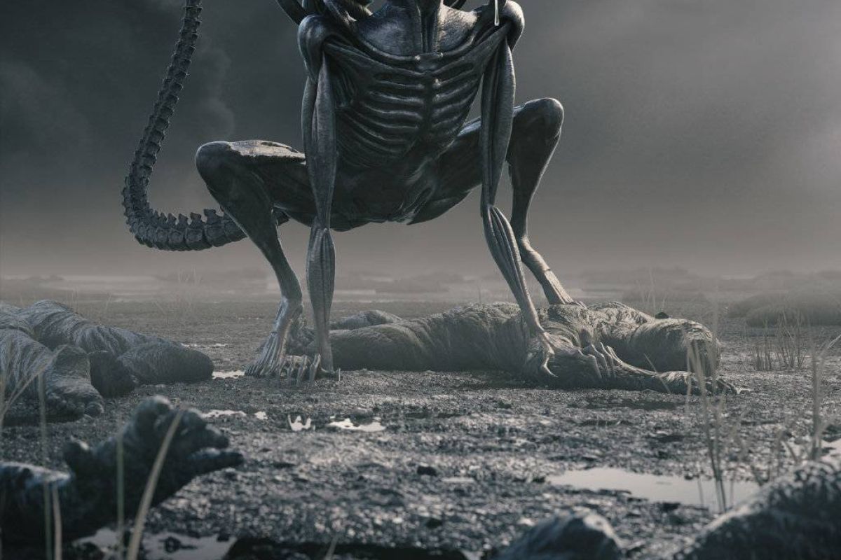 3dbfd64a032e9ba1101b008259559571 XL e3fb2b3f