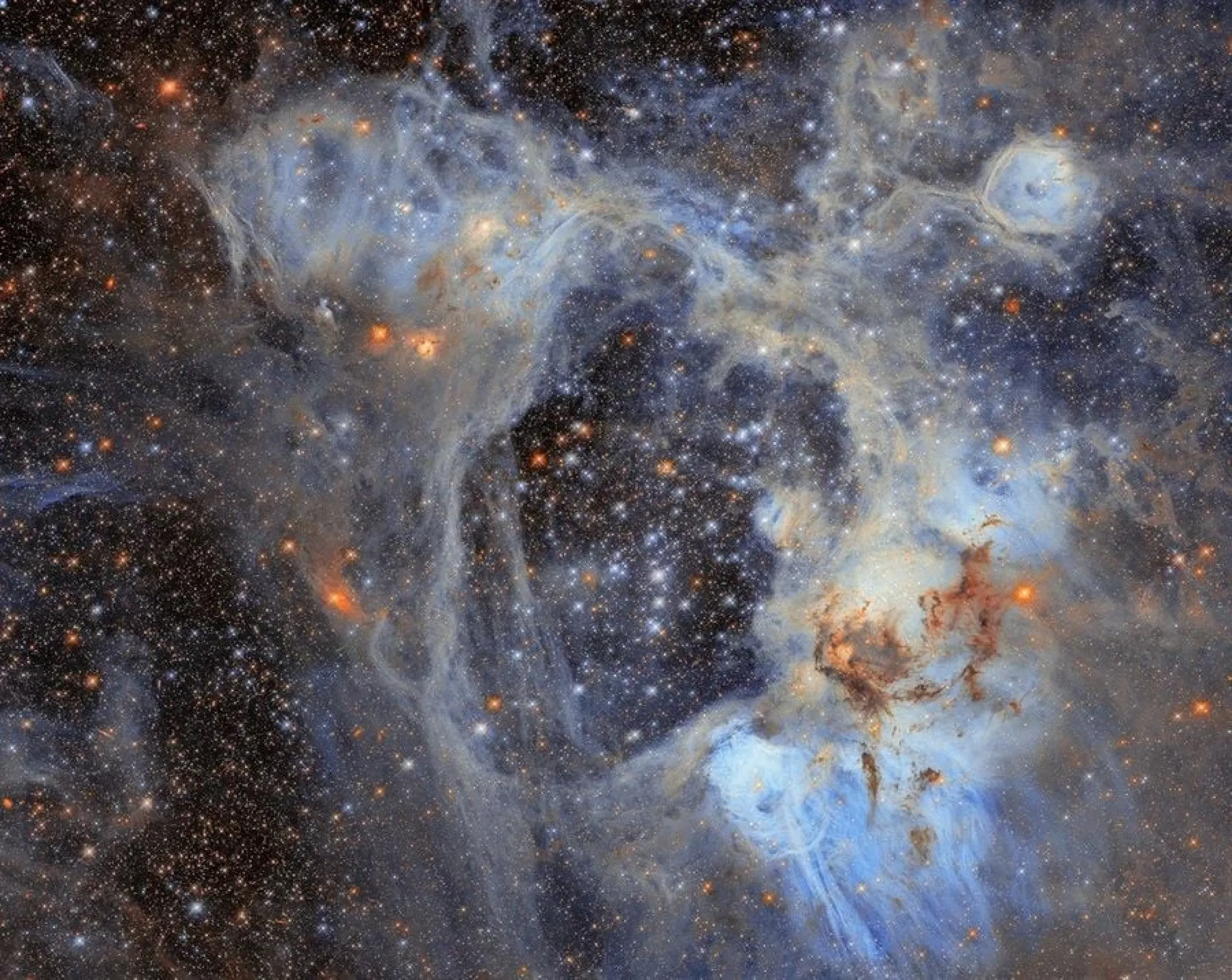 article image 6198fe71b2 e333d357