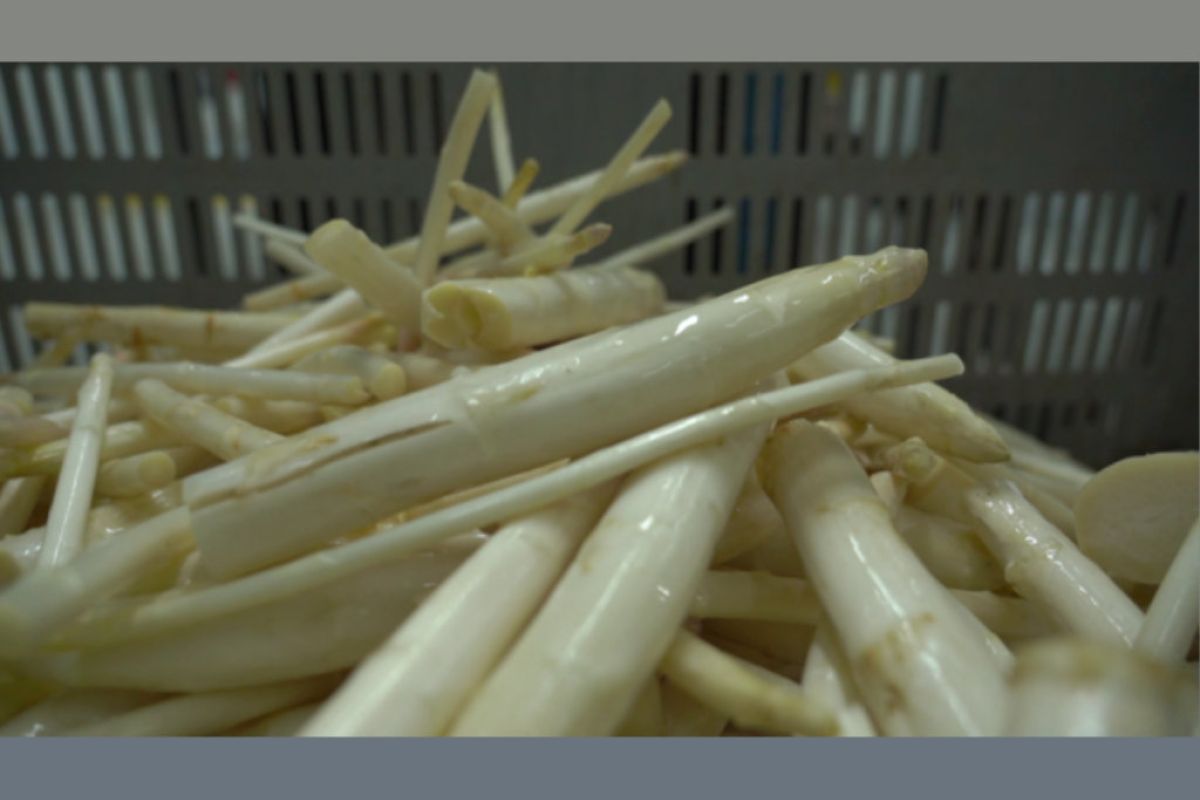 1024X1024 106 e5a1cead