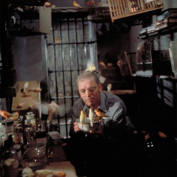 «Ο βαρυποινίτης του Αλκατράζ» – Μια υπέροχη ταινία στην ΕΡΤ1