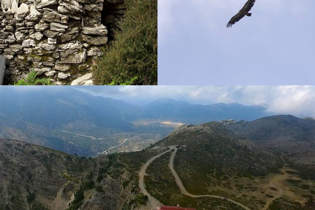 78e5404c1c35289c20cd1c41287d112e XL e52adb65