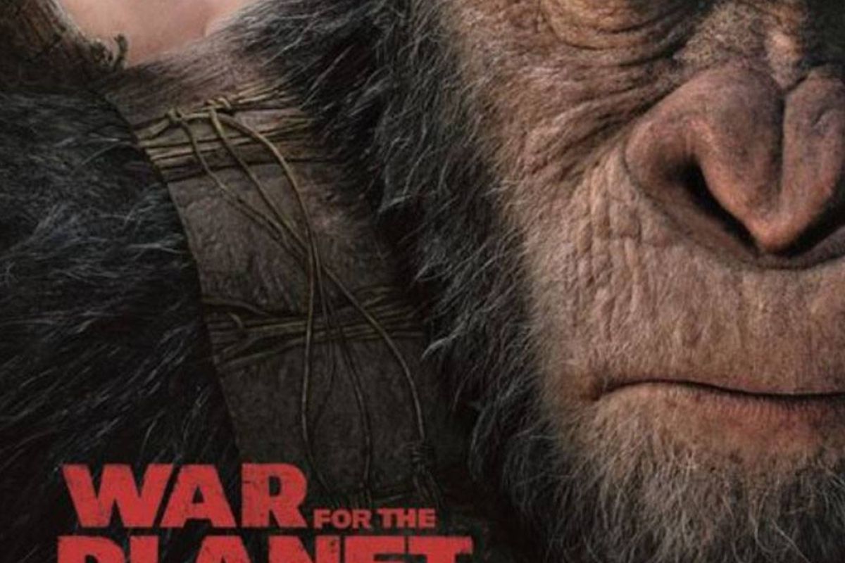 c21f4e9200ef37fdf41cae891e9d8967 XL e55b5be9