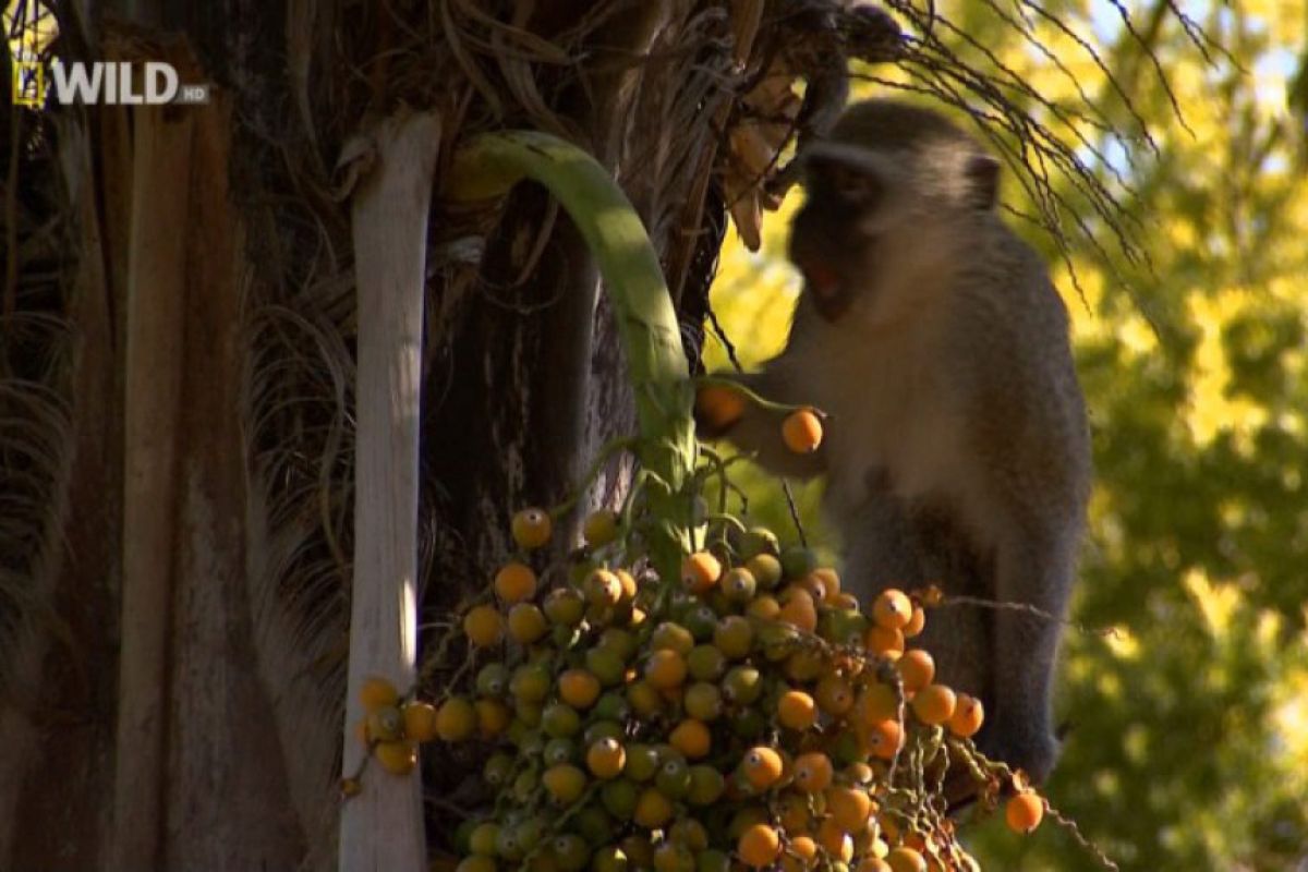 d48e37a55ad6553a6ca6f4649ba69488 XL e56c07c9