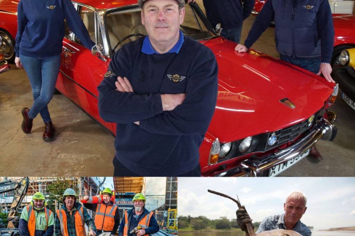 d7e50aede6e1adfbe0f9d6dc4c6445a1 XL e5d5c983