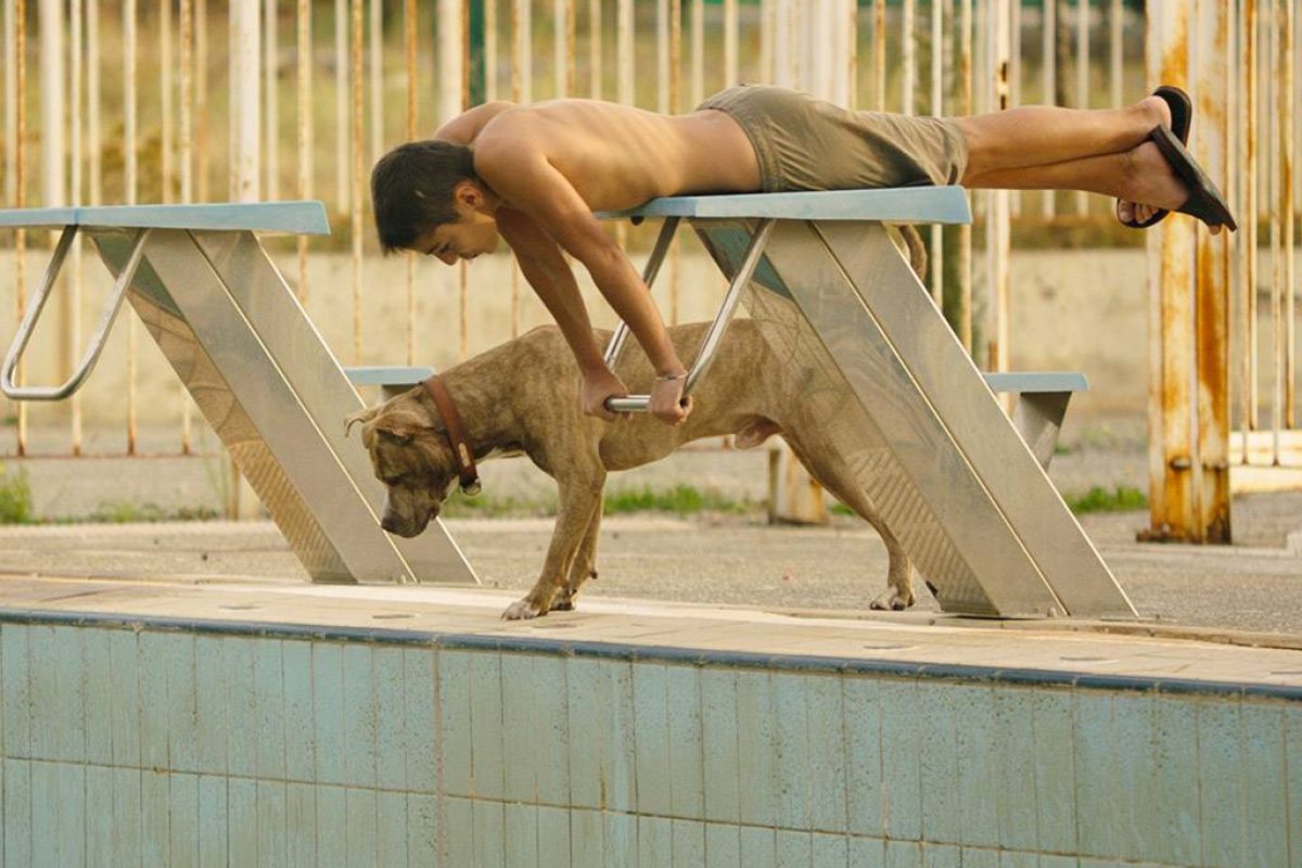 36d9cde0255257ecbae0512765bd562c XL e6b945cd