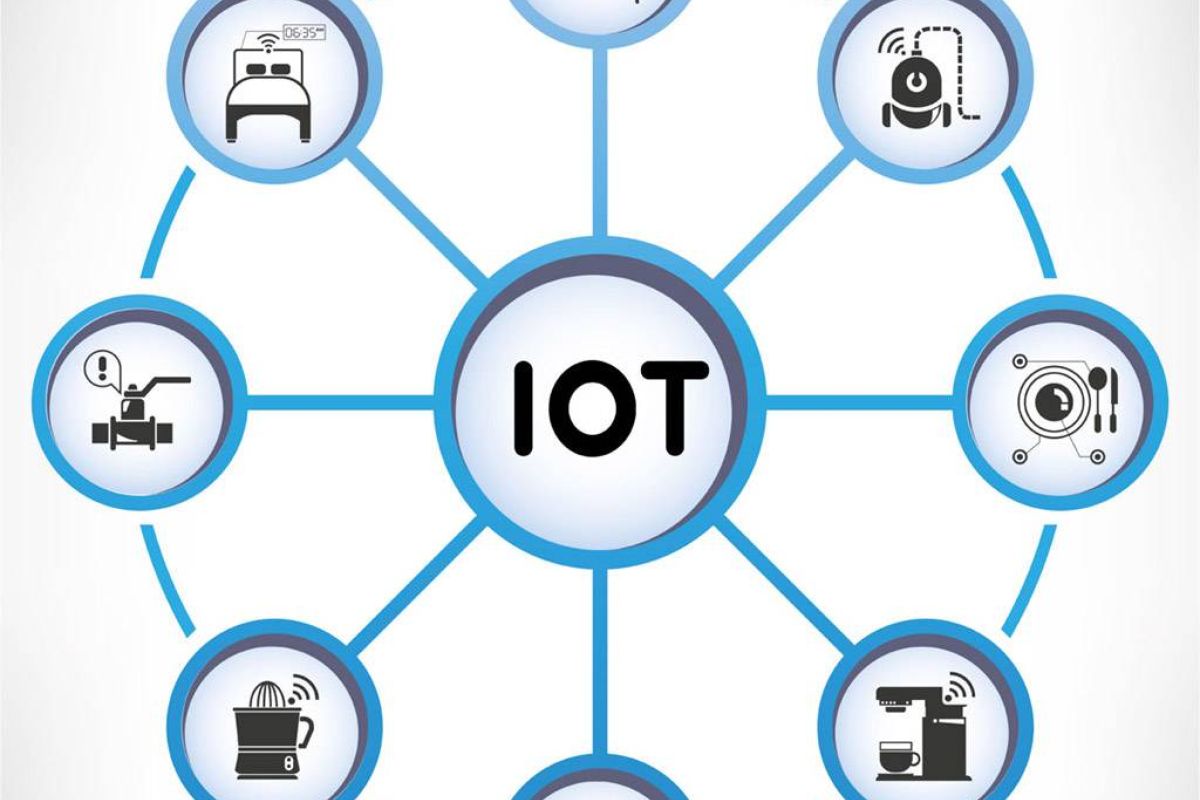 7c02965fd82fa7562a890abc3659d05a XL e64eddcf