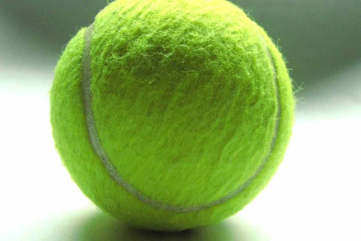 88113533ede3c74f2bdfcbc031d0719b XL e6b5f81b