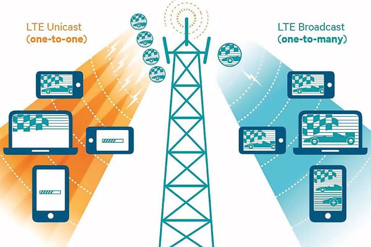 d23a0ee822092c1d13c98a430f805401 XL e6070c09