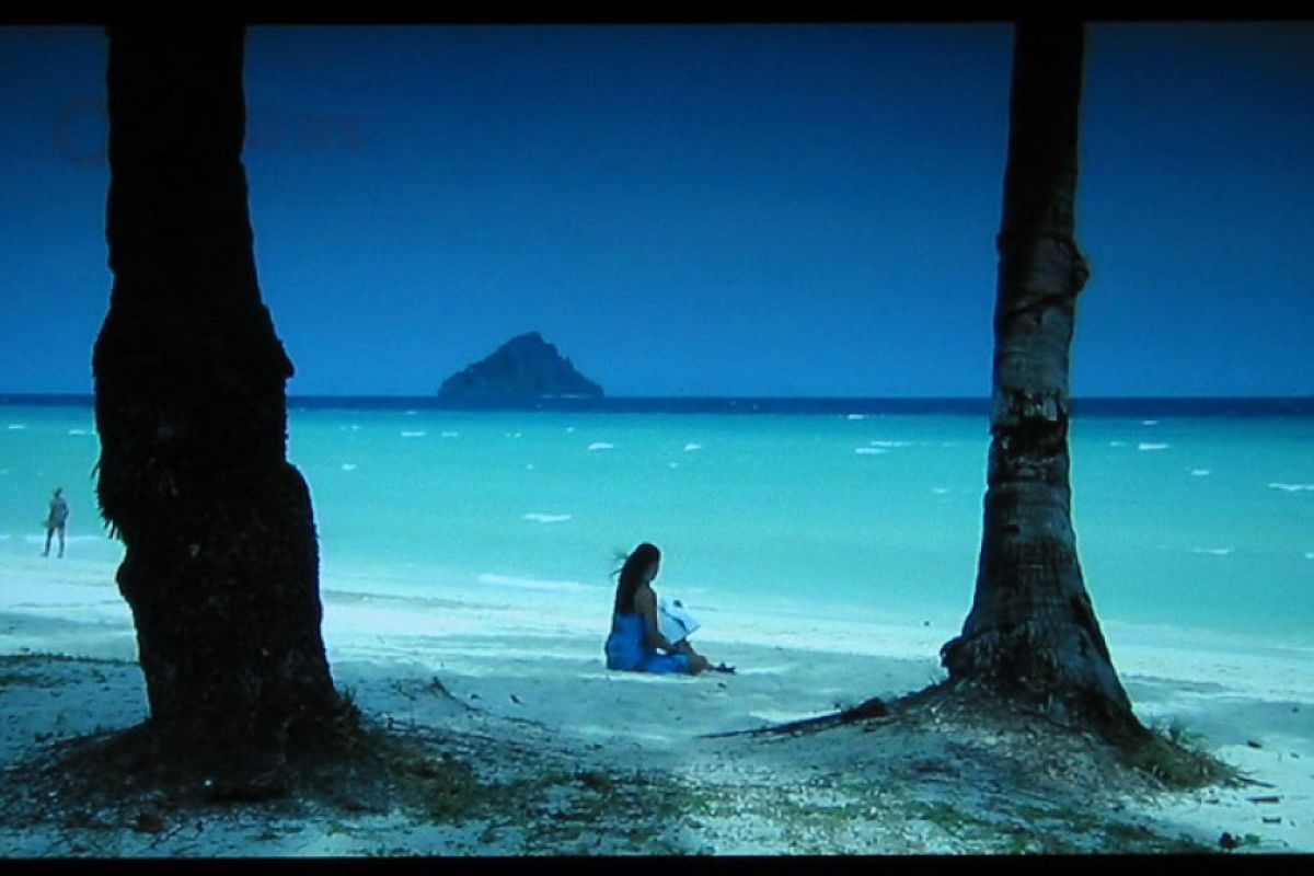 24000e508fa28c4d1ae6dc9b29acb0ad XL e7b72b79