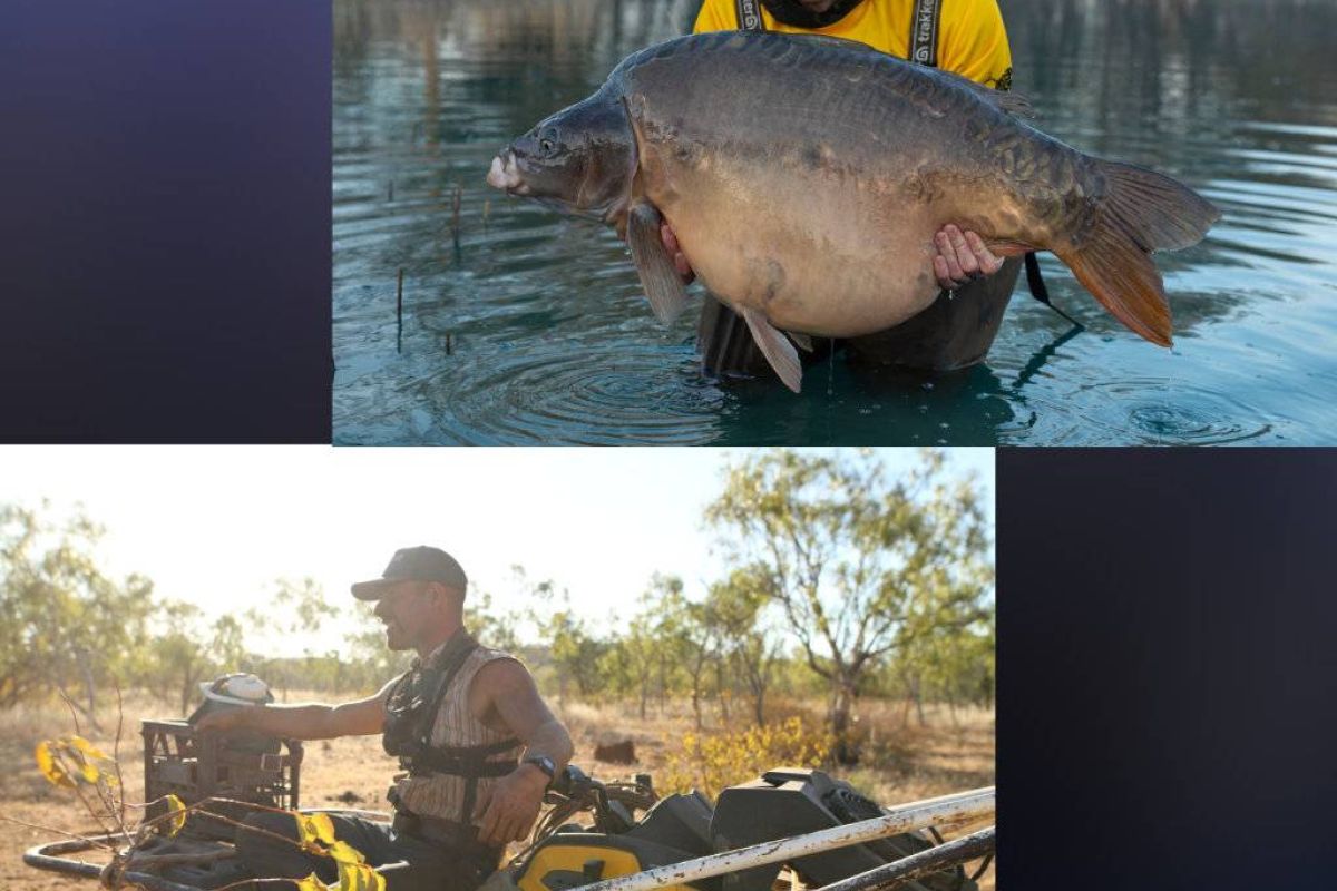 84ae08772b16cef8c2906565163ef3e9 XL e7561a32