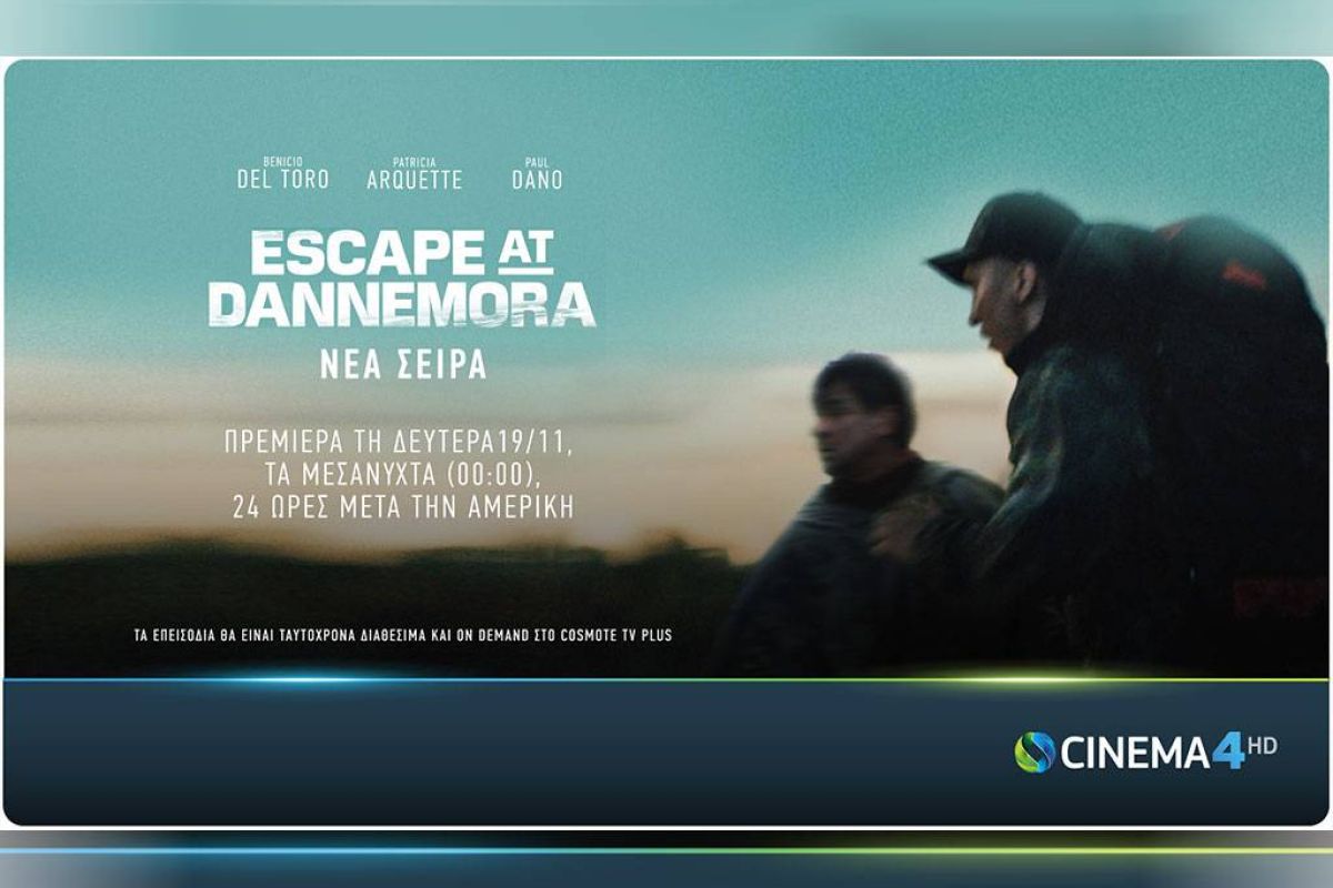 9df0432630859a1fe9140cb61525ec6d XL e7068134