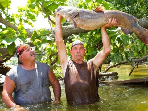 Mudcats 2 e84a7bdf