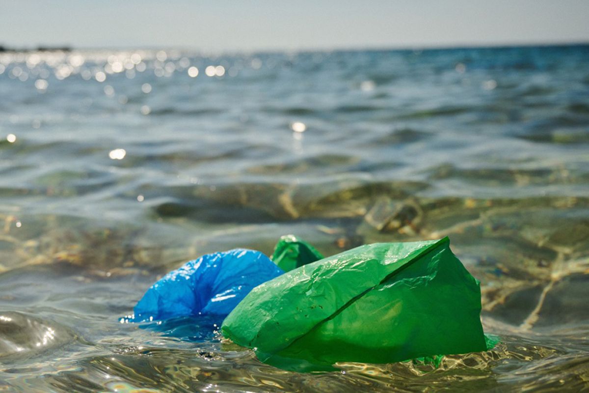 Untitled 1 126 e8c80f73