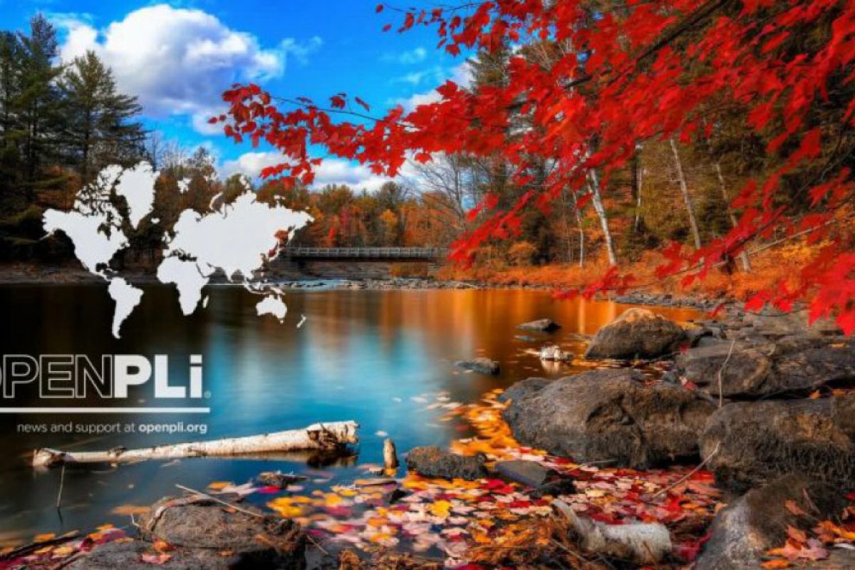 bdc2af6e4bba64b1b224fcbd439f8340 XL e8f84eb2