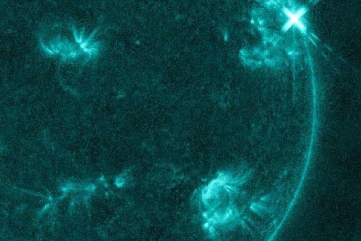 0cf3b912a90e4c84554f9eeca6205ae2 XL e9a593fd