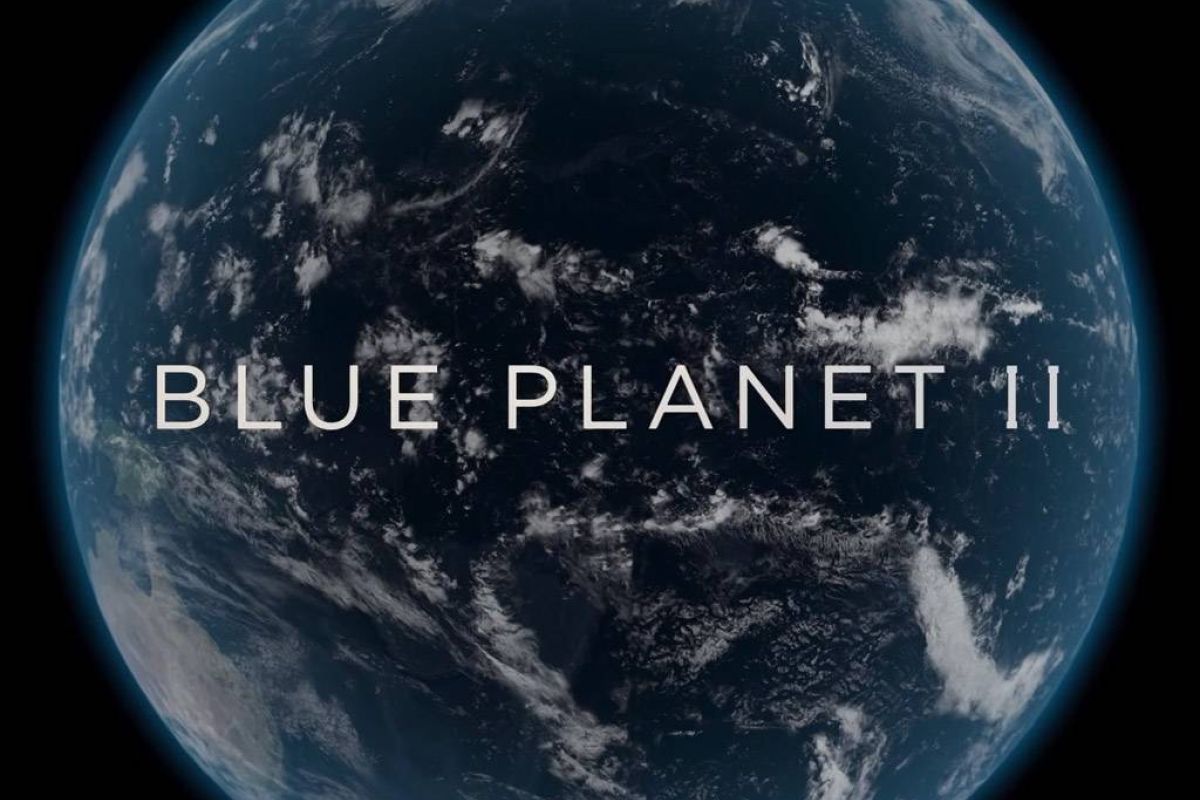 4c1d1fa5aaa75cc3af9d5d50a6927152 XL e9f517e3