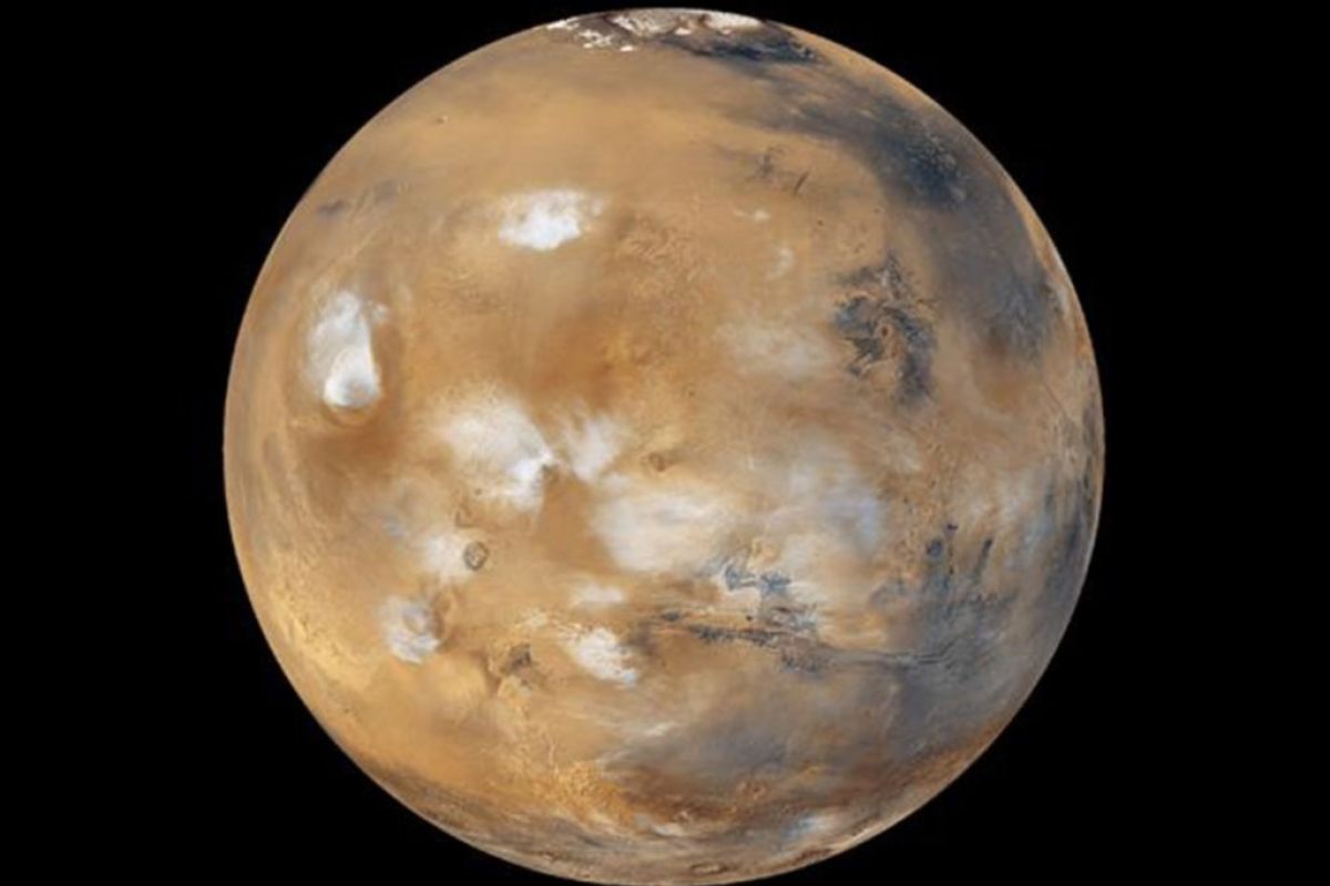 1024X1024 44 ea35bb9d