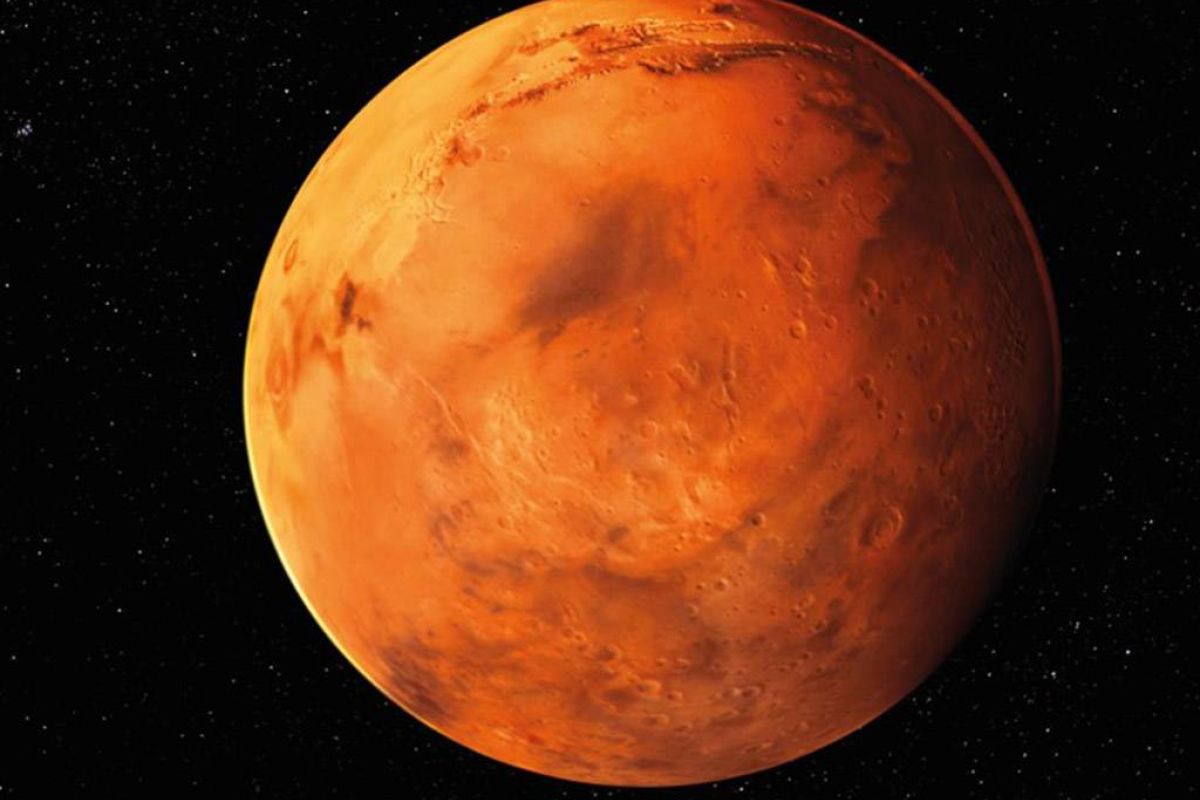 529fff524730ca6bc605a8043a12d262 XL ea7adeba