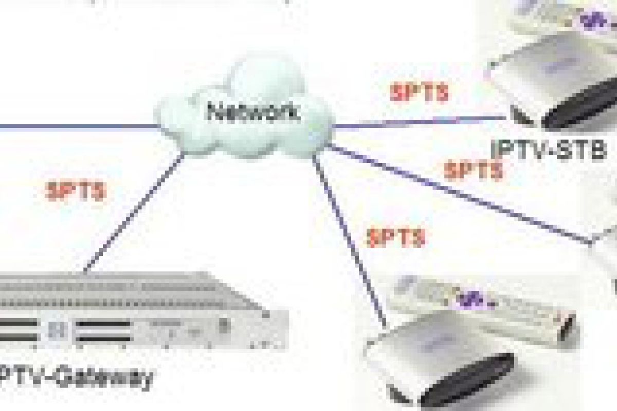 907fc55f05f0809da6943756073cdaa7 XL ea5ae9a6